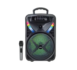 בידורית קריוקי נטענת Sakal BT-08