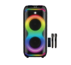 בידורית 80W עם 2 וופרים בגודל 8 אינץ SKL-2805