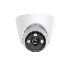 מצלמת IP באיכות 4K עם צבע מלא בלילה Reolink P335X